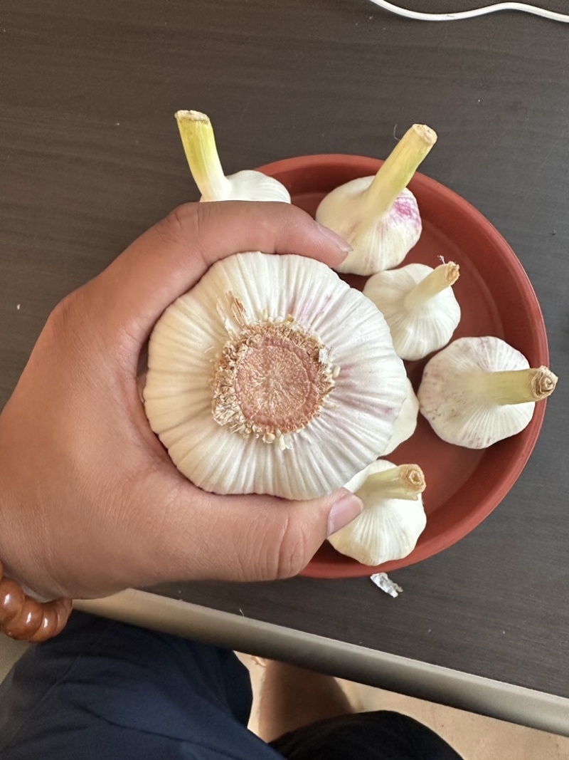 鲜蒜