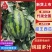 辽宁甜王西瓜大红瓤小薄皮口感好代发全国售后保障