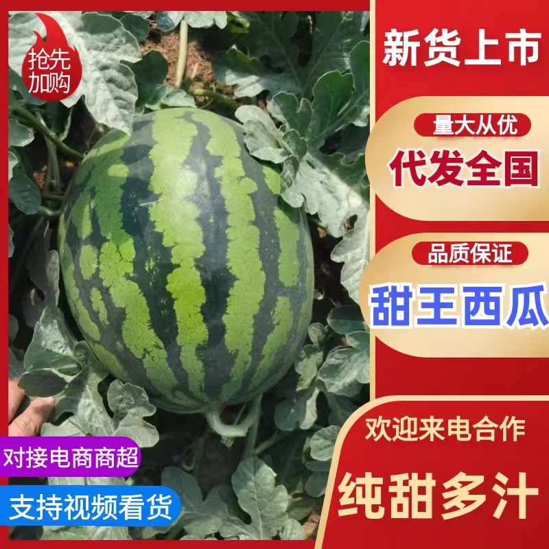 辽宁甜王西瓜大红瓤小薄皮口感好代发全国售后保障