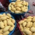 云南元江鹰嘴芒供应市场电商各大平台每天货源充足