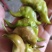 新鲜菱角