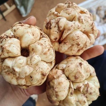 只要价格合适，可以根据客户的要求包装