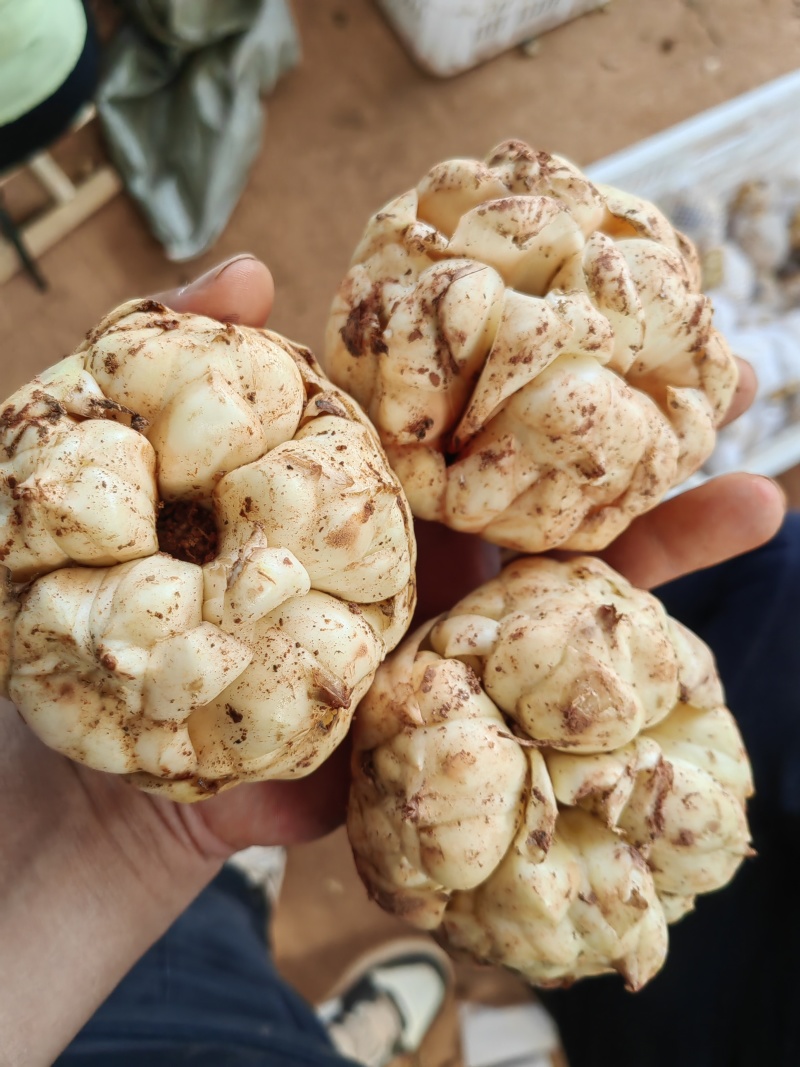 只要价格合适，可以根据客户的要求包装