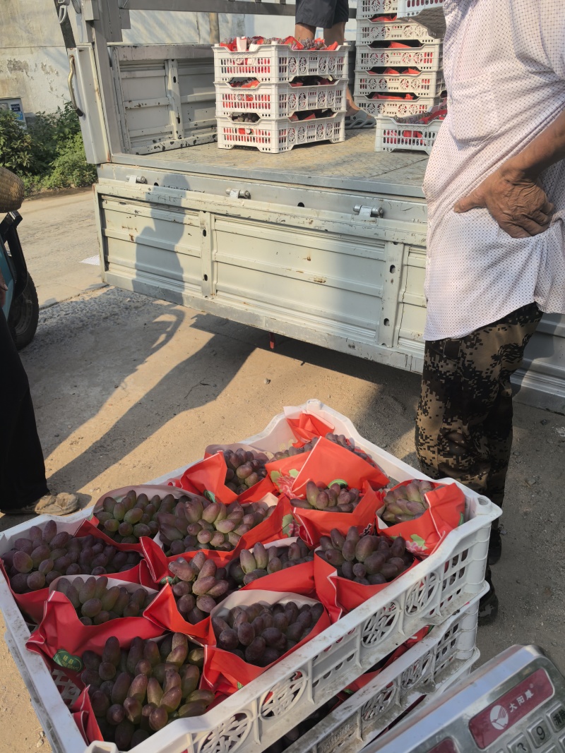 本地葡萄大量上市，各种品种齐全，口感清香脆甜。