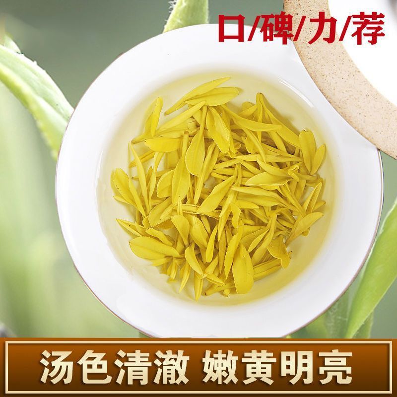 黄金牙新茶特级茶叶鲁记御香高档礼盒装浓香黄金叶茶送礼高档茶叶