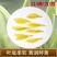 黄金牙新茶特级茶叶鲁记御香高档礼盒装浓香黄金叶茶送礼高档茶叶