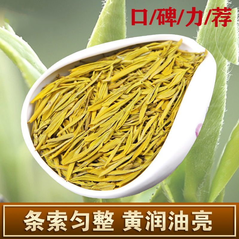 黄金牙新茶特级茶叶鲁记御香高档礼盒装浓香黄金叶茶送礼高档茶叶