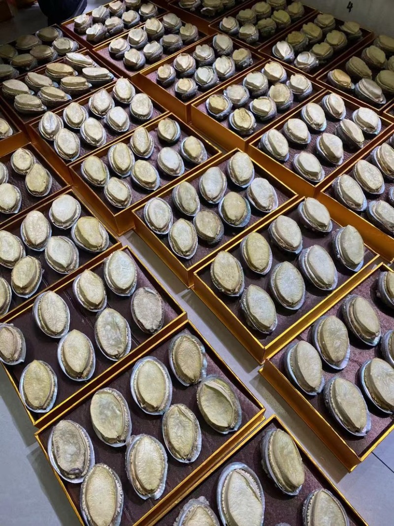 鲍鱼干带壳鲍鱼可装礼盒量大从优品质保证价格优惠