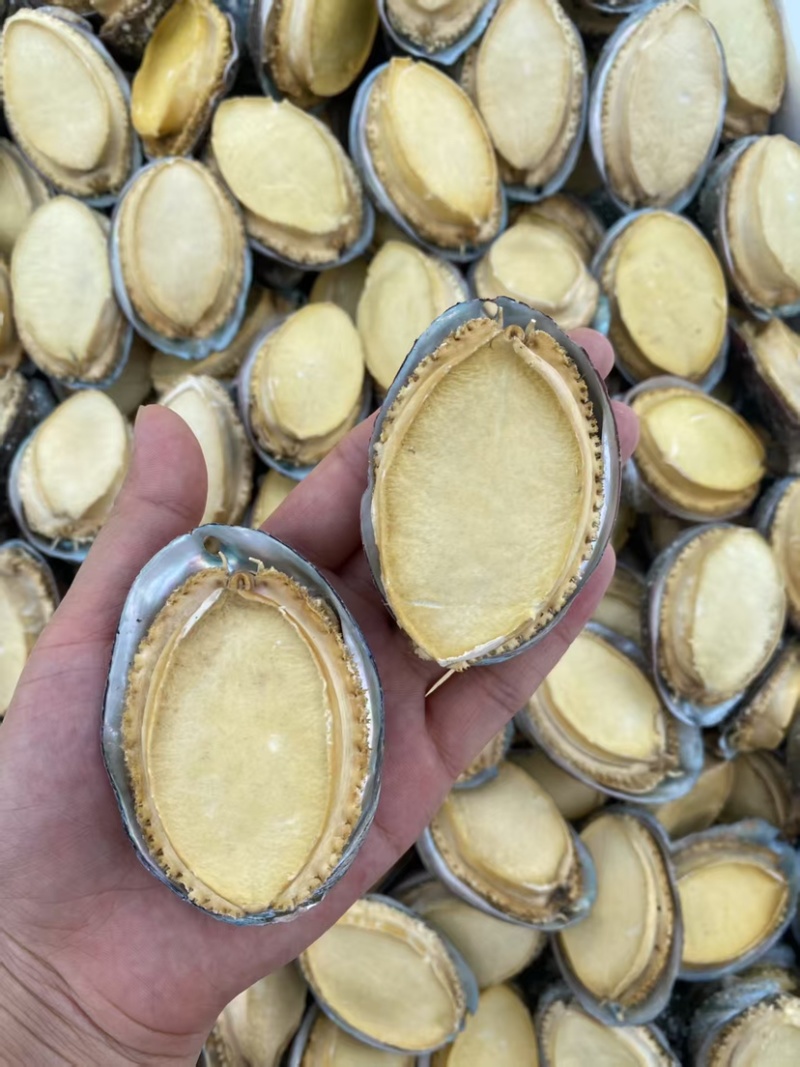 鲍鱼干带壳鲍鱼可装礼盒量大从优品质保证价格优惠