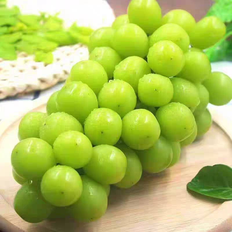 《阳光玫瑰》精品葡萄/山东葡萄/产地货源/全国供应批发
