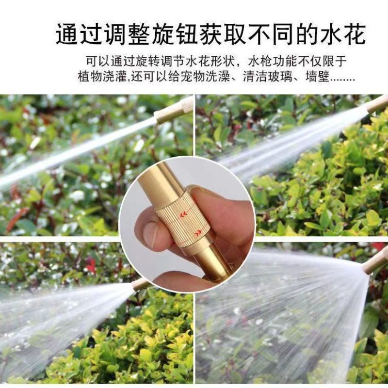浇花喷头水枪套装园林浇菜水管喷水洒水淋喷雾器花洒洗车