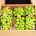 《阳光玫瑰》精品葡萄/山东葡萄/产地货源/全国供应批发