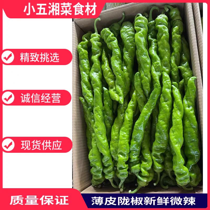 陇椒大螺丝椒产地看货论价保质保量欢迎订购