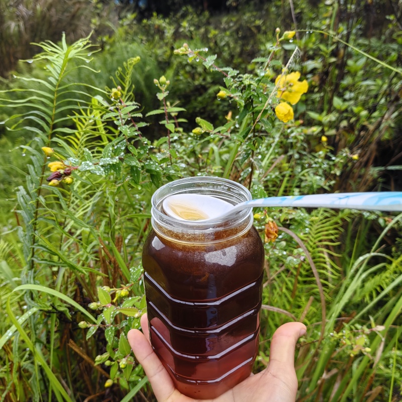 蜂蜜云南山花百花蜜蜂农直发一件包邮量大从优