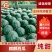 露天美都西瓜果大味甜，水份充足带沙