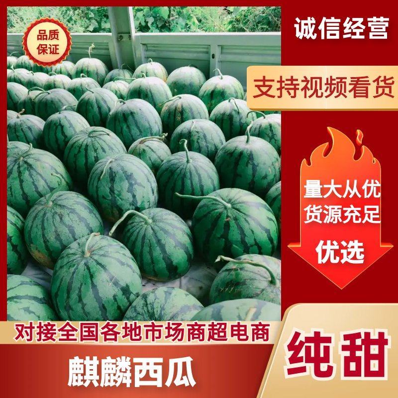 露天美都西瓜果大味甜，水份充足带沙