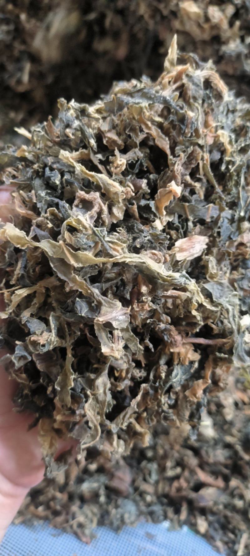 精品梅干菜