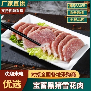 宝蓄黑猪雪花肉精品鲜猪肉河北厂家直销可视频看货