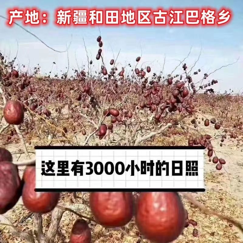 红枣特级新疆特产和田大枣未清洗原生态吊杆枣新货一级大枣子