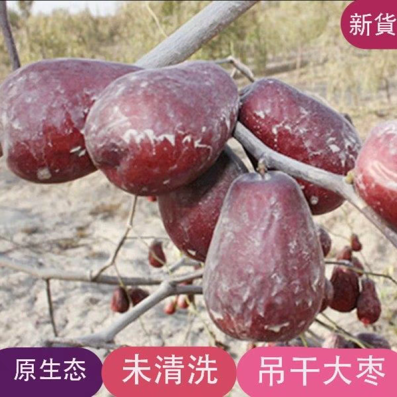 红枣特级新疆特产和田大枣未清洗原生态吊杆枣新货一级大枣子