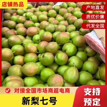 河北香梨新梨七号一级果水果甘甜可口大量现货