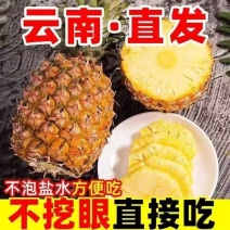 云南牛奶凤梨大量有货基地直供品质优甜度高可视频看货