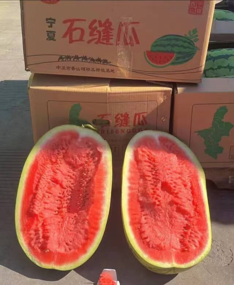 宁夏硒砂瓜中卫石头瓜基地直发品质保证欢迎咨询