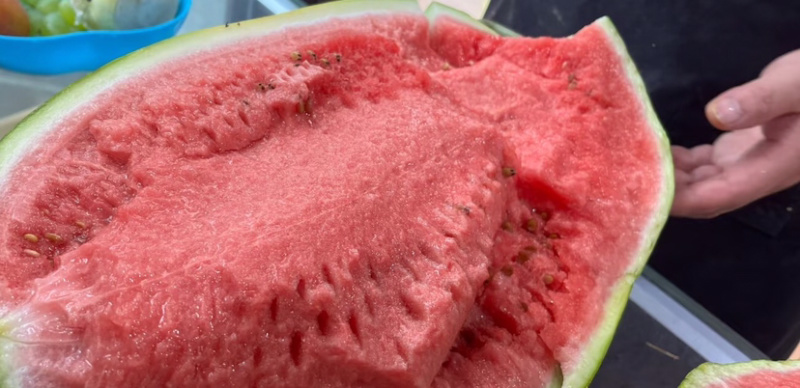 宁夏硒砂瓜中卫石头瓜基地直发品质保证欢迎咨询