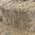 治沙稻草长度70-90公分水份11左右
