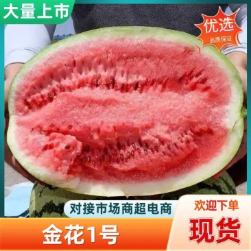 宁夏硒砂瓜,金华1号,品质保证诚信经营欢迎来电