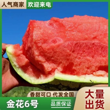 宁夏硒砂瓜,金华6号,品质保证诚信经营欢迎联系