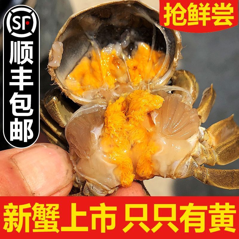 水产全品类供应链，你只需建个群，有现群，有客户资源，朋友多