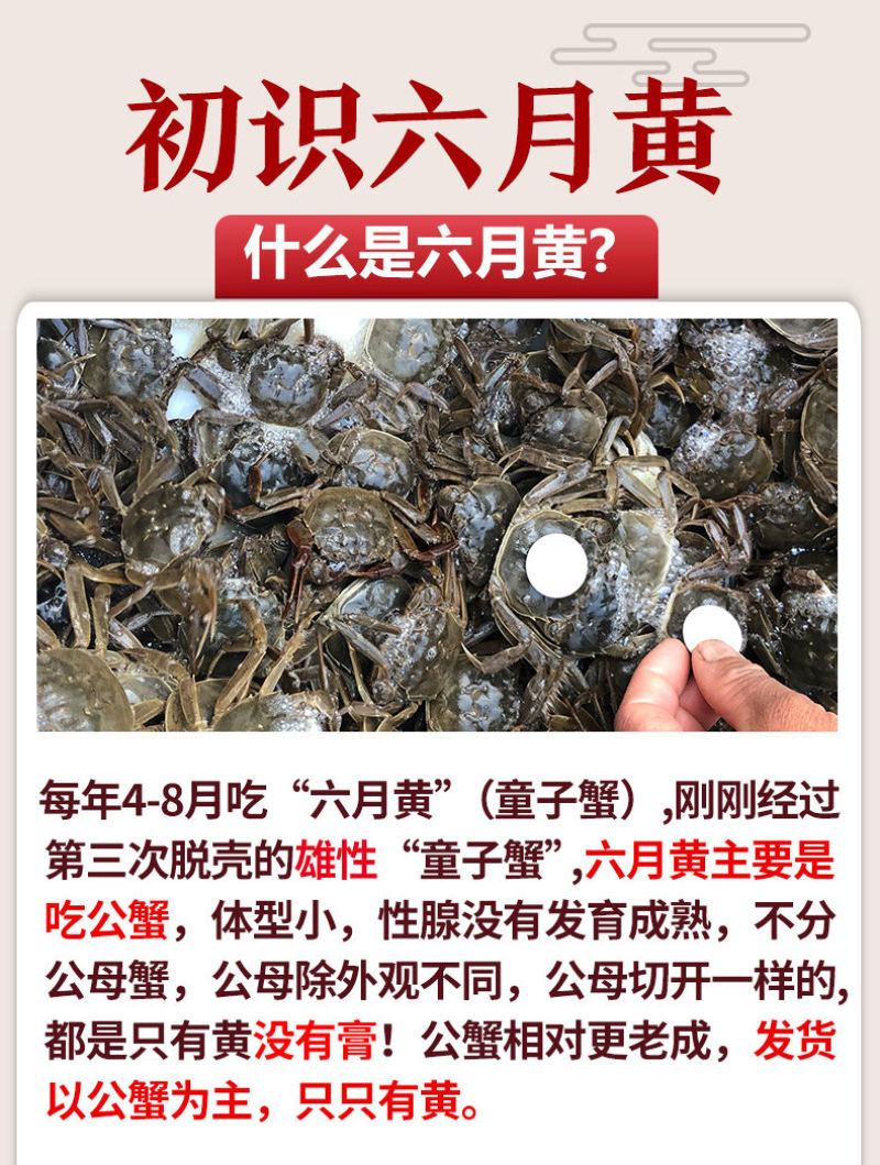 水产全品类供应链，你只需建个群，有现群，有客户资源，朋友多