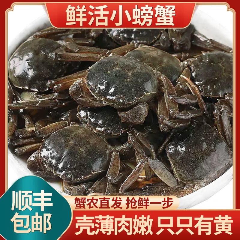 水产全品类供应链，你只需建个群，有现群，有客户资源，朋友多