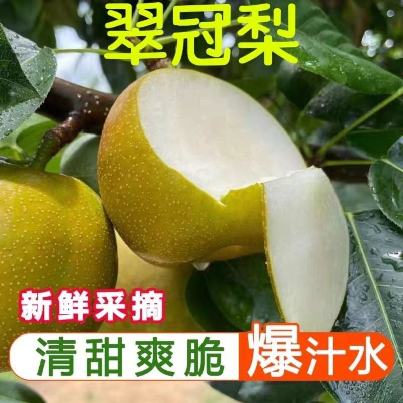 湖北仙桃翠冠梨