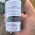 优质抗抽苔72穴西芹芹菜苗