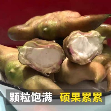 湖北本地菱角，一手货源，一条龙服务