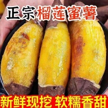 【一件代发】**电商精品榴莲蜜薯软糯，糖度超高