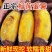 【一件代发】**电商精品榴莲蜜薯软糯，糖度超高