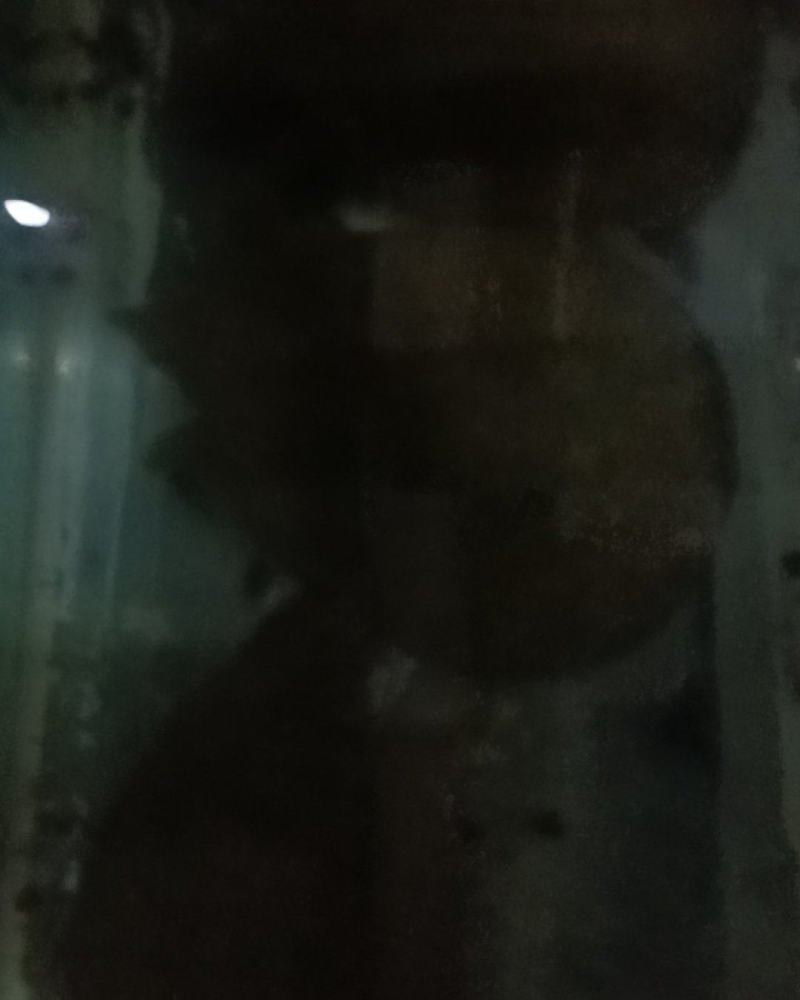 野生甲鱼