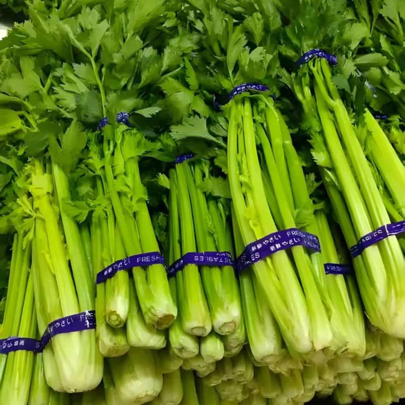 优质芹菜质量保证一手货源，对接超市电商批发市场