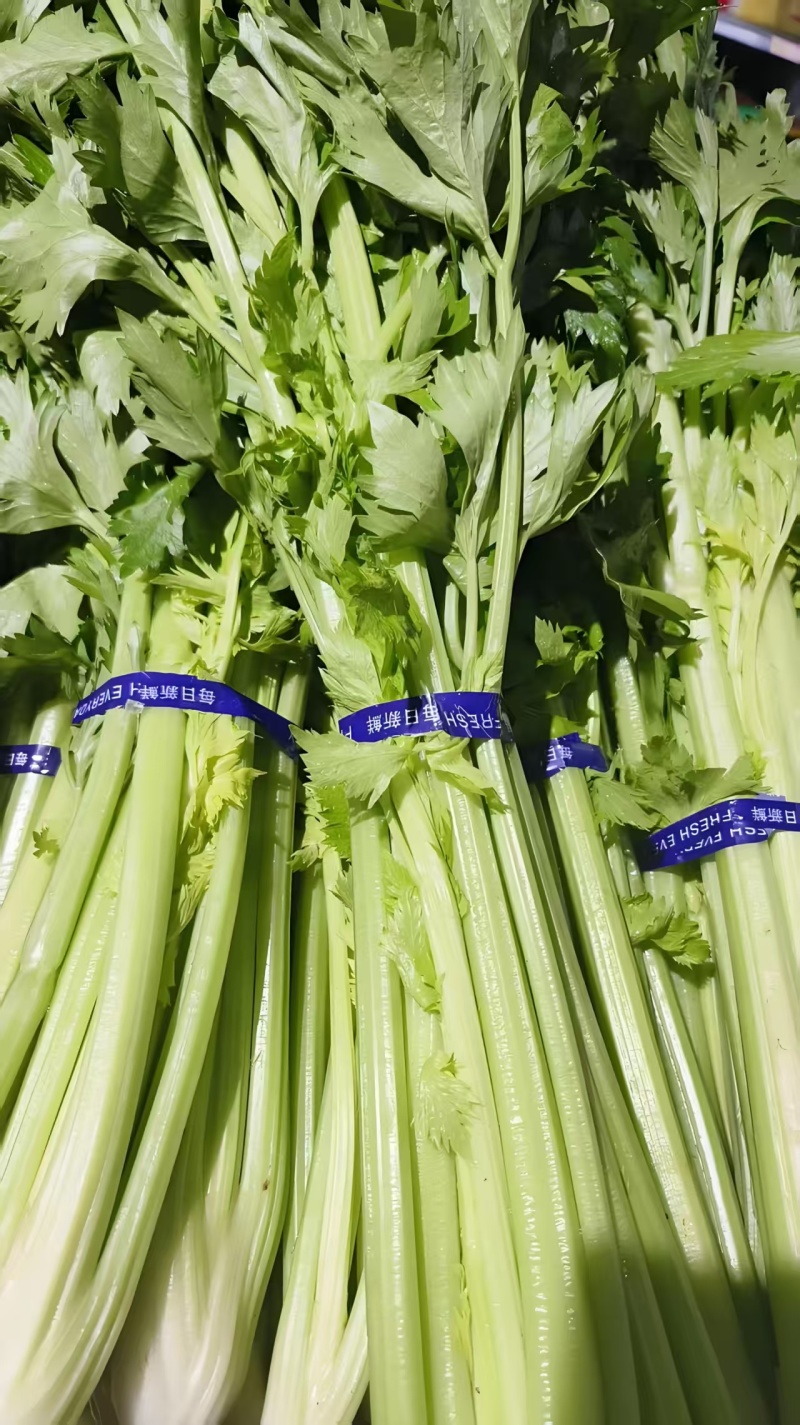 基地代办芹菜产地直供大量有货，对接超市批发市场