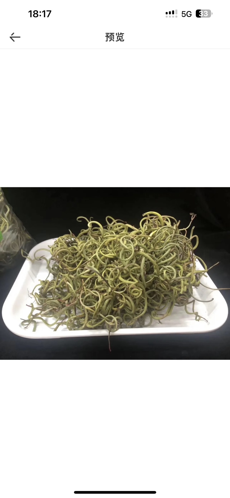 化石草化石草一件代发货