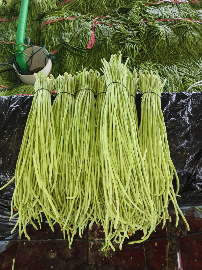湖南酸豆角源头好货脆嫩条形好腌制厂带检测报告