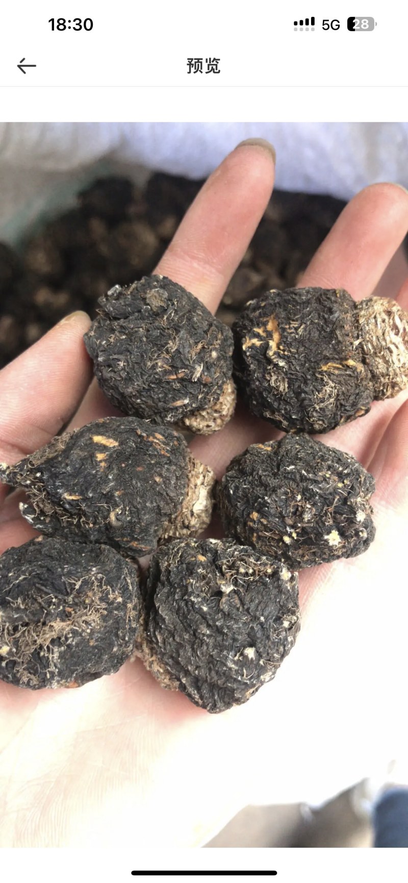 黑玛咖大果热销丽江玛咖产地供应量大