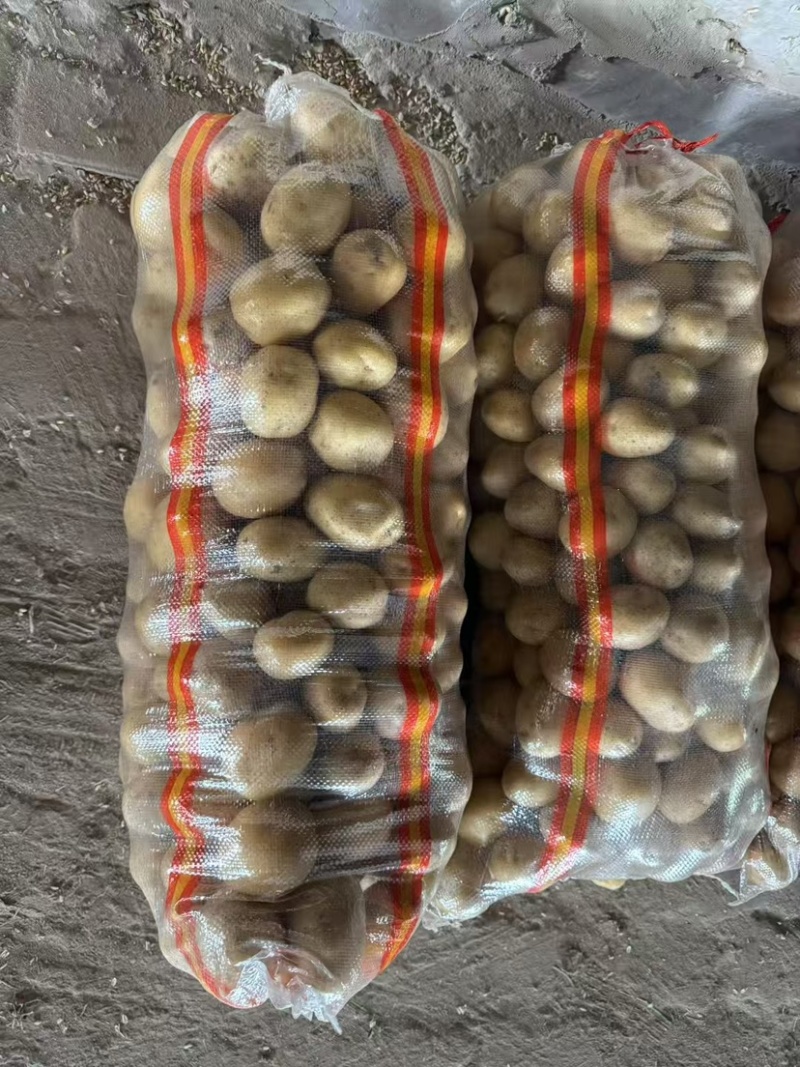 滕州土豆加工厂用土豆食堂工地伙房用土豆黄皮黄心水洗干洗