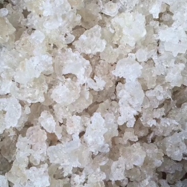 拉丝雪燕