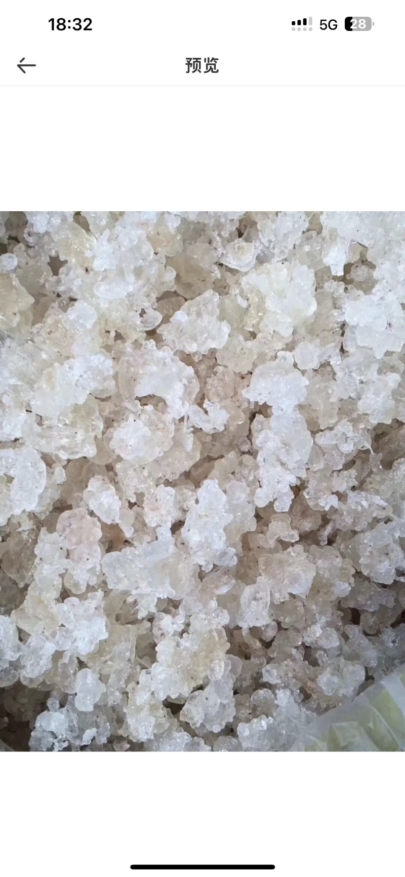 拉丝雪燕