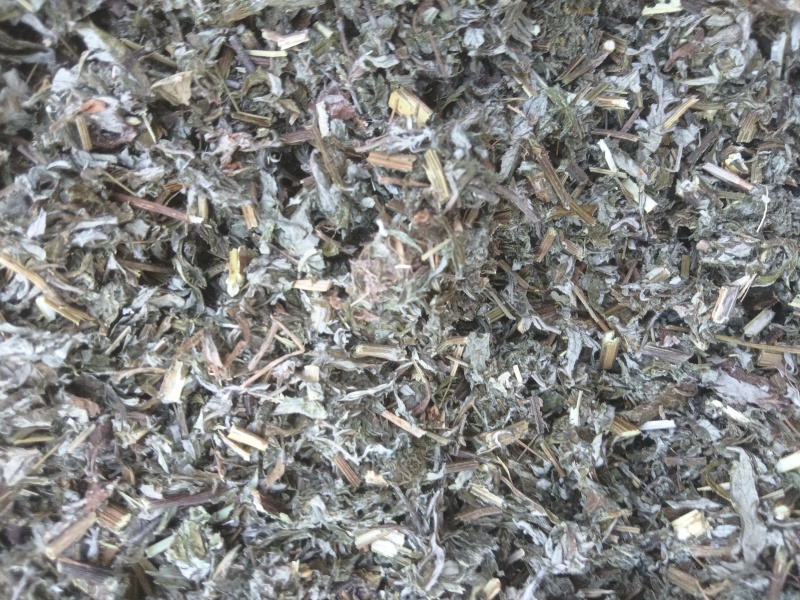 全棵小艾叶0.6刀口大量供应一手货源量大从优支持视频