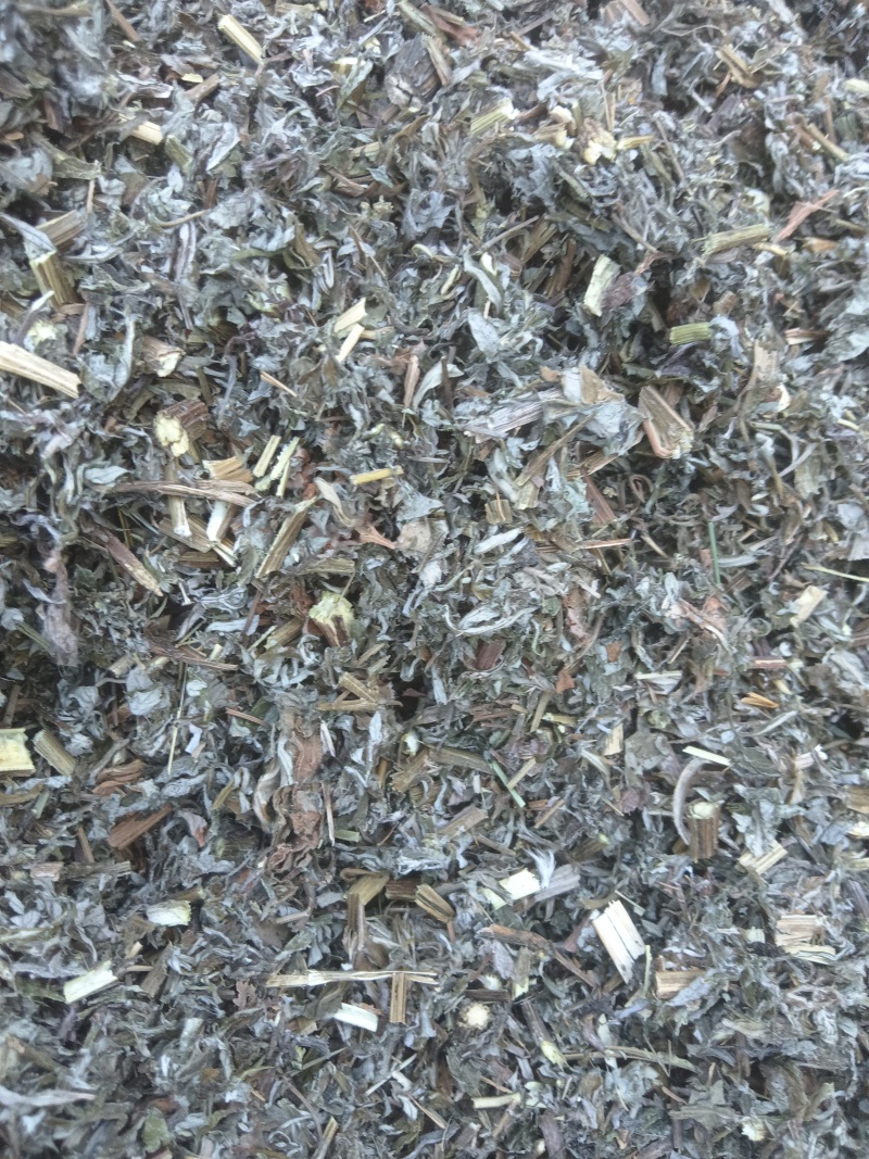 全棵小艾叶0.6刀口大量供应一手货源量大从优支持视频